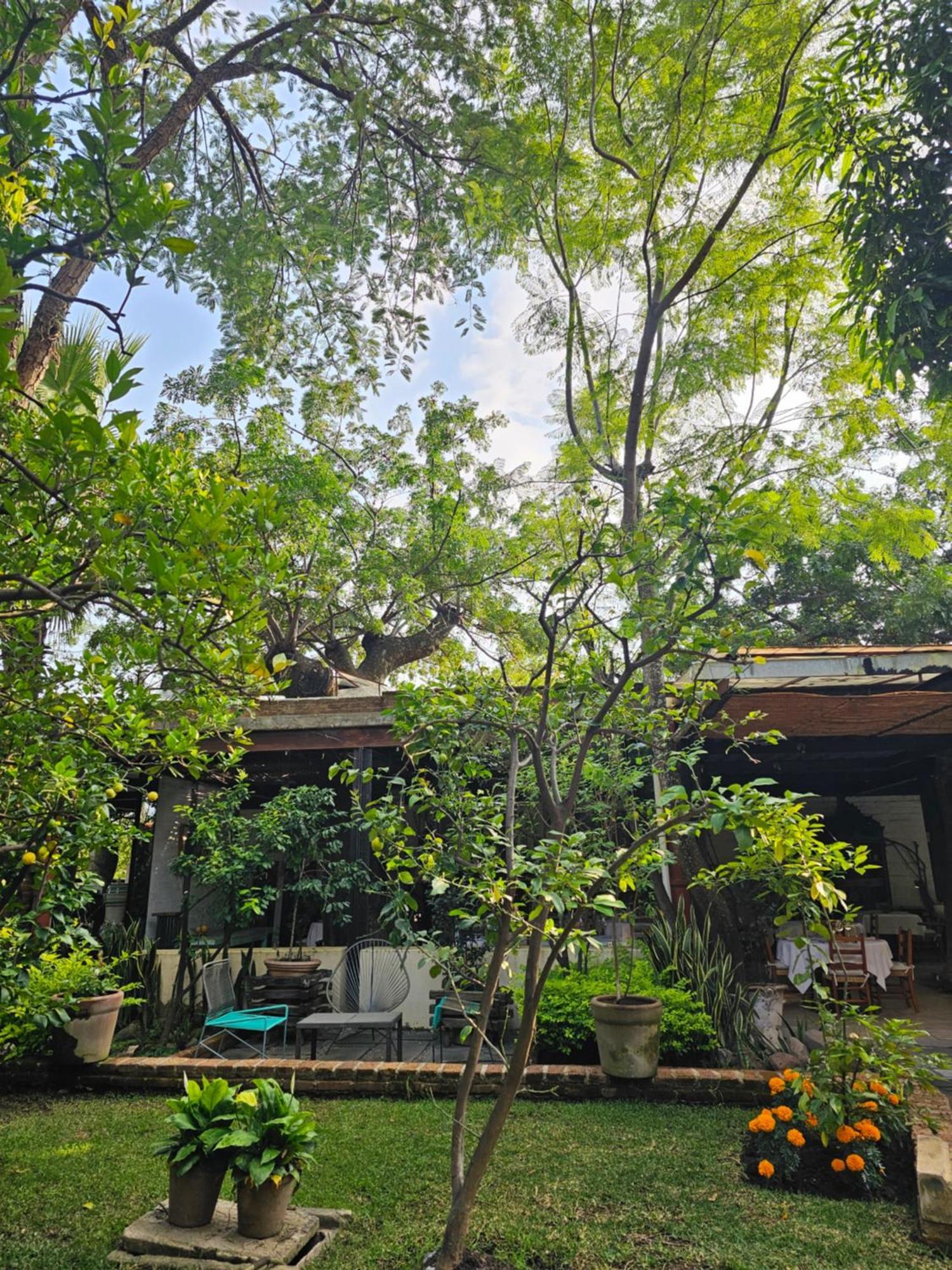 Hotel Casa Limon Malinalco Exterior foto