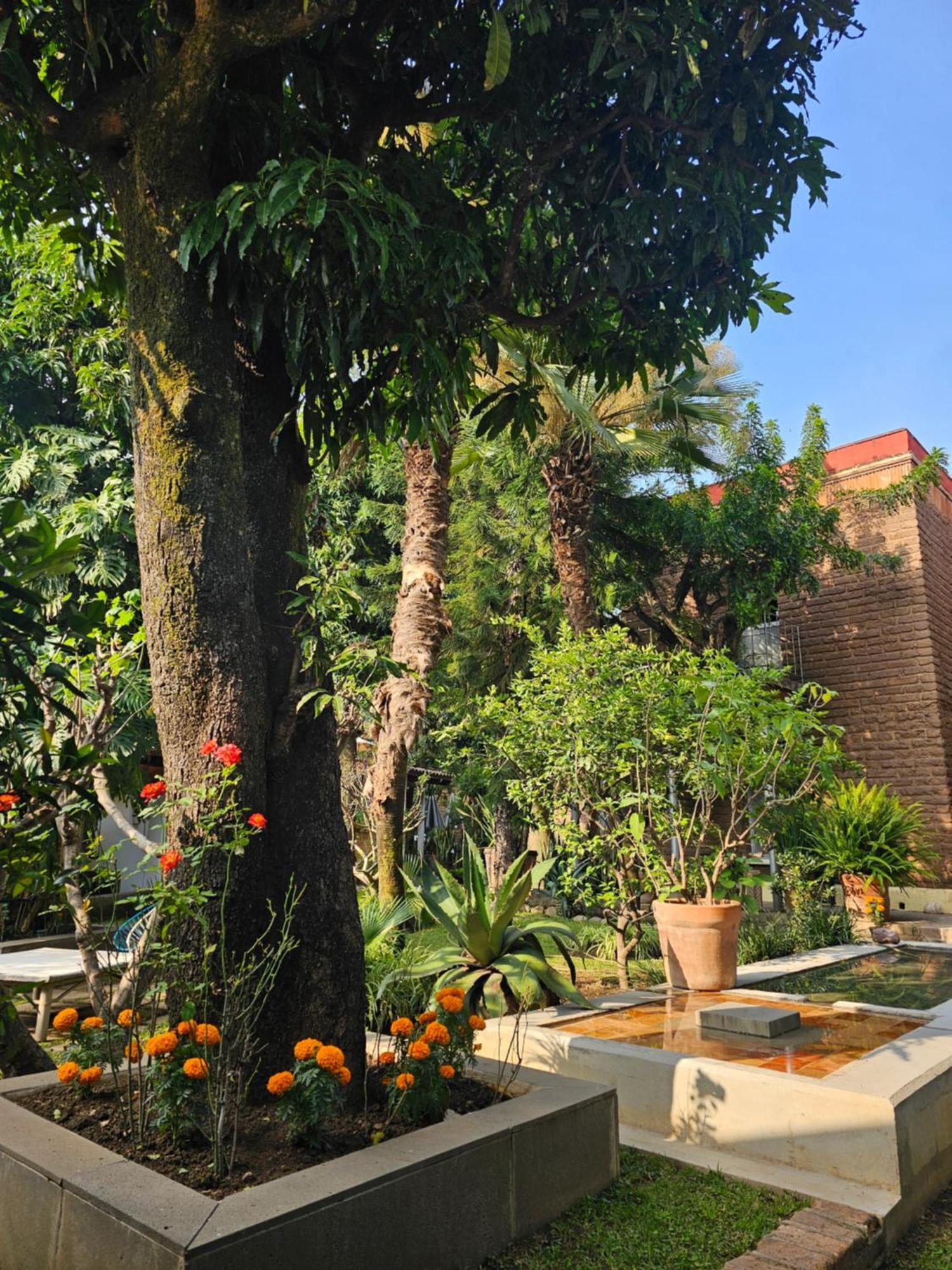 Hotel Casa Limon Malinalco Exterior foto